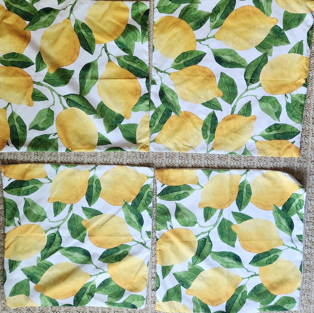 Set of 4 18x18 inch pillow covers